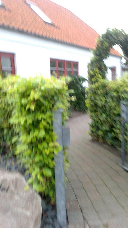 Gaeste Anneks Hos Hanne Hjørring Zewnętrze zdjęcie